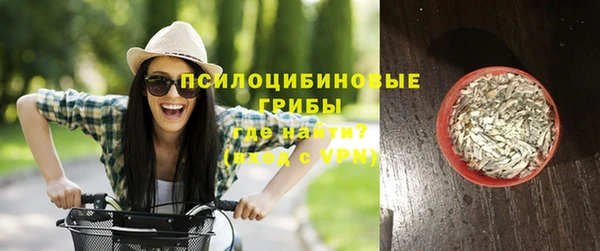 круглые Алексеевка